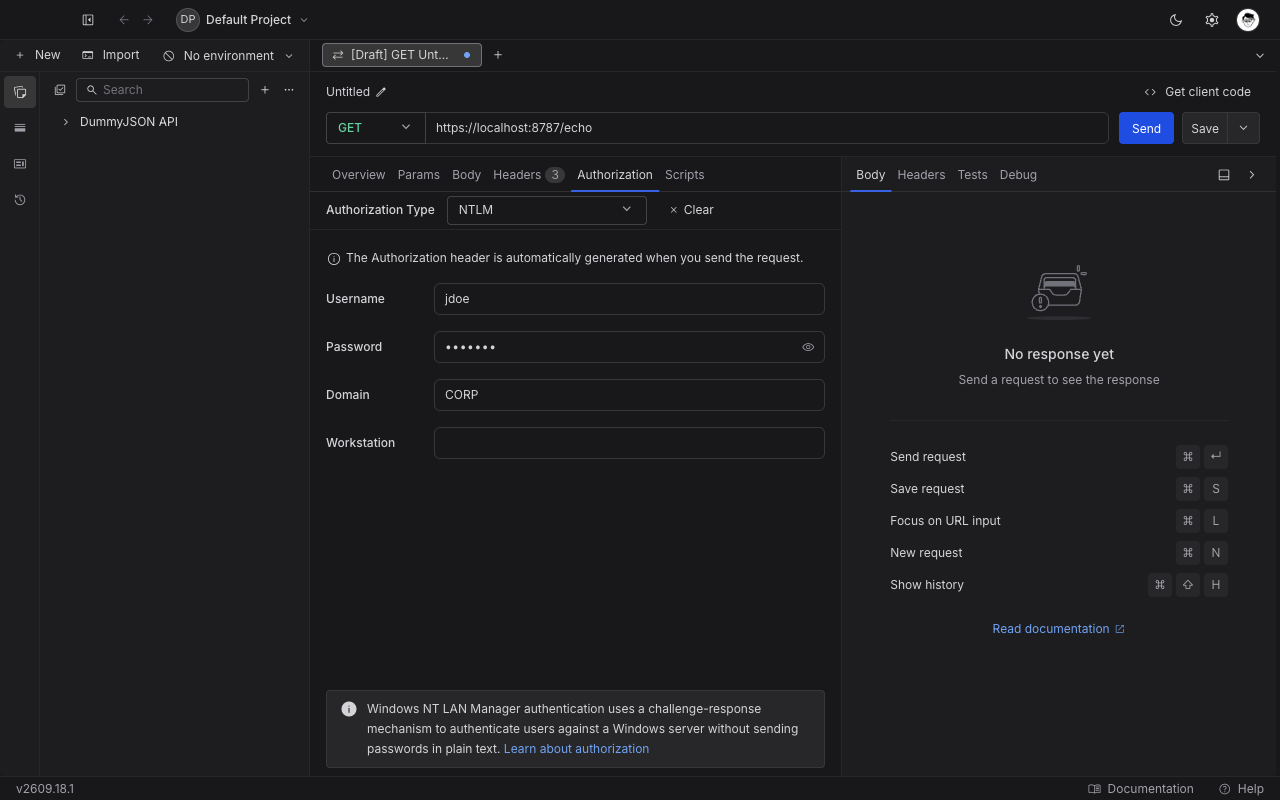 NTLM form in the Authorization tab of the desktop app, showing username, password, domain, and workstation fields.