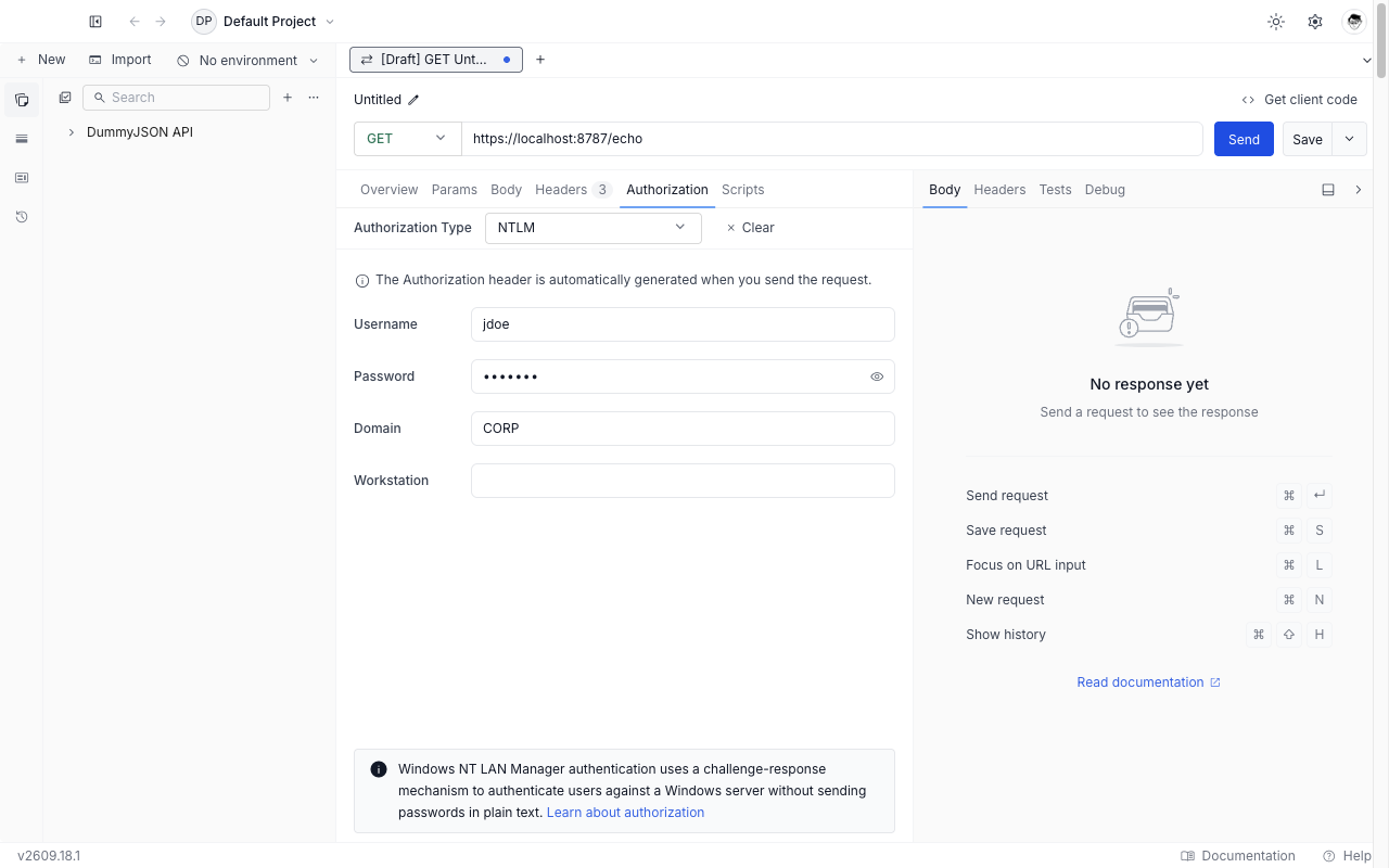 NTLM form in the Authorization tab of the desktop app, showing username, password, domain, and workstation fields.