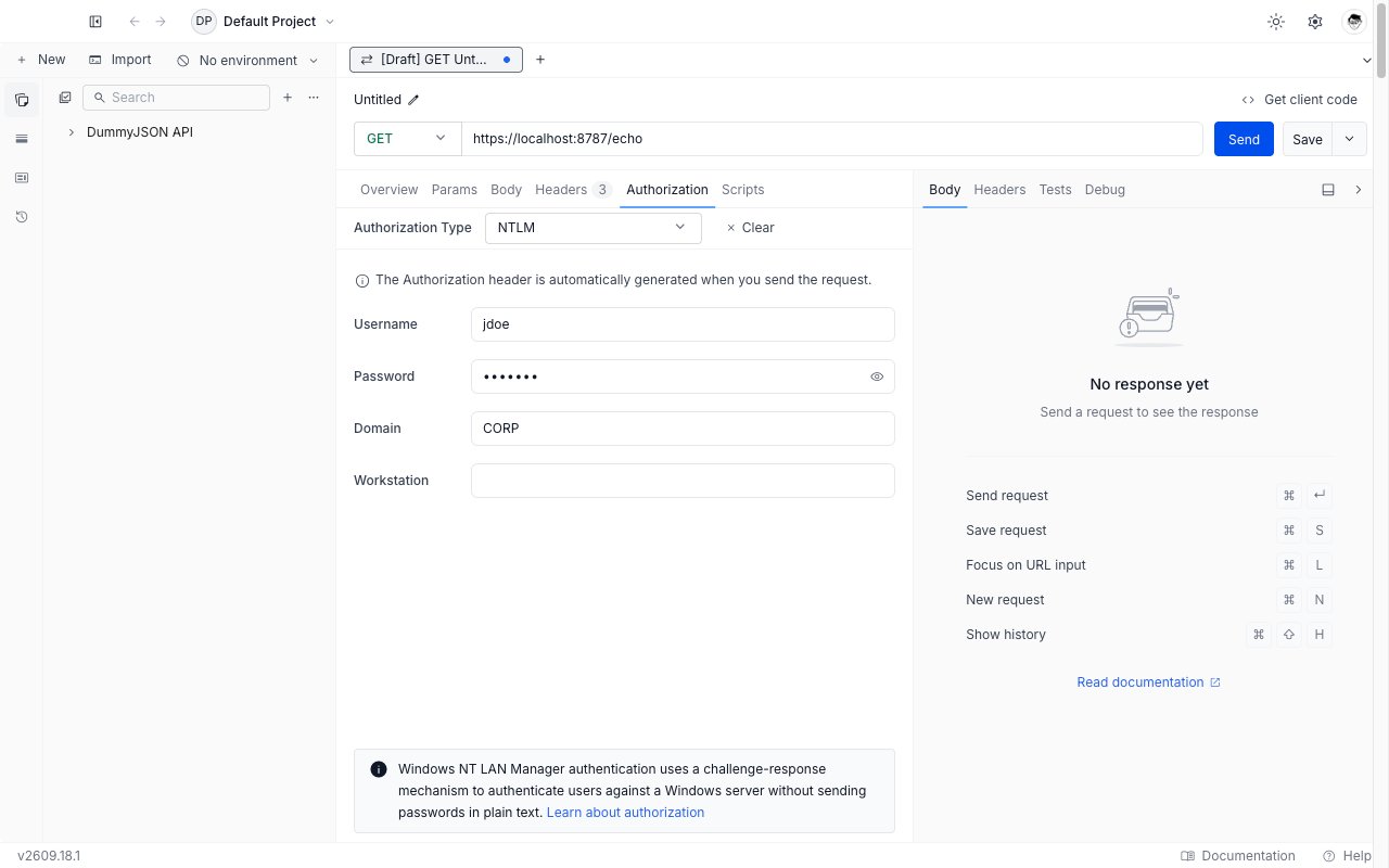 NTLM form in the Authorization tab of the desktop app, showing username, password, domain, and workstation fields.