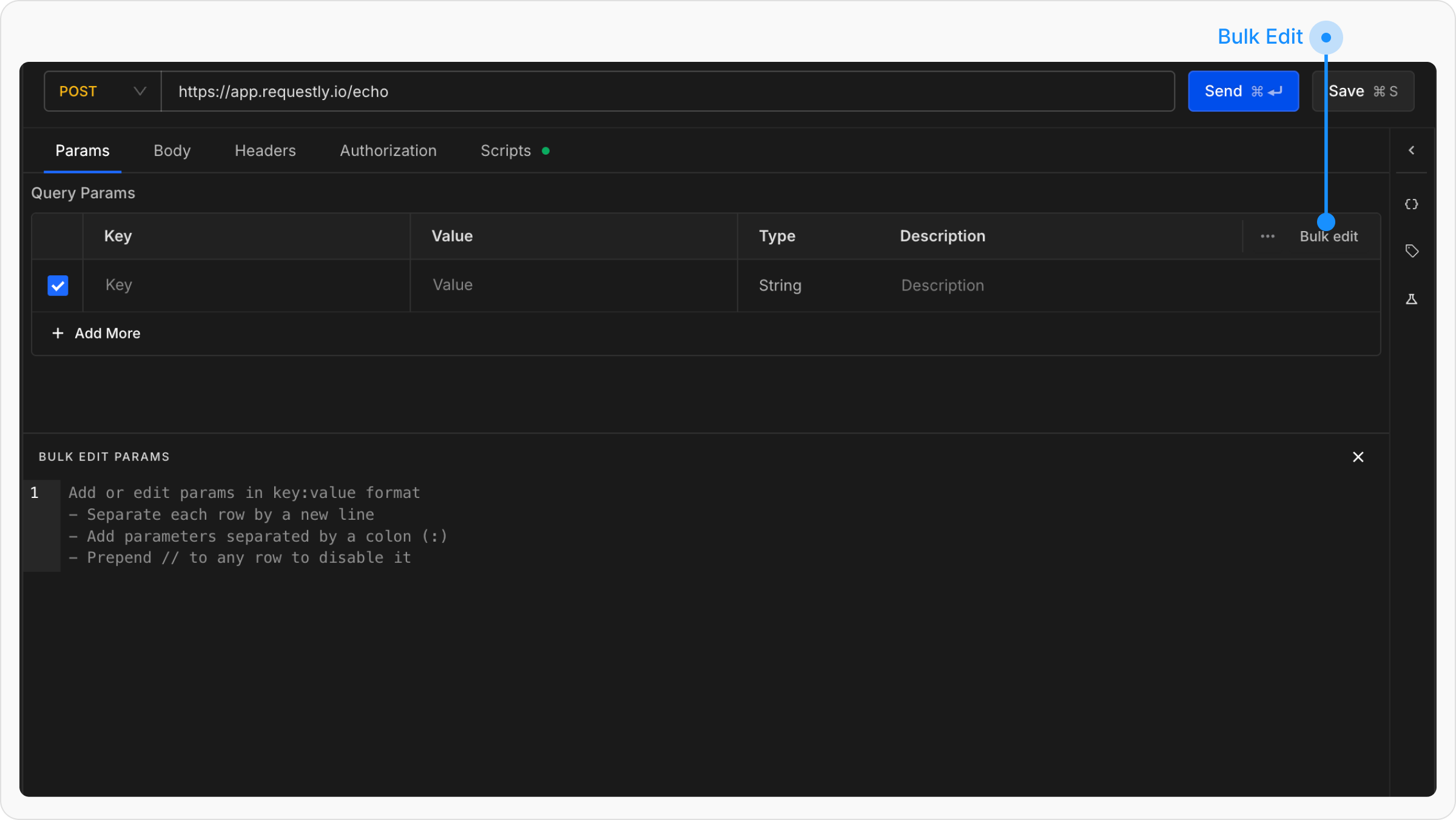 Parameters and Body Data - Requestly