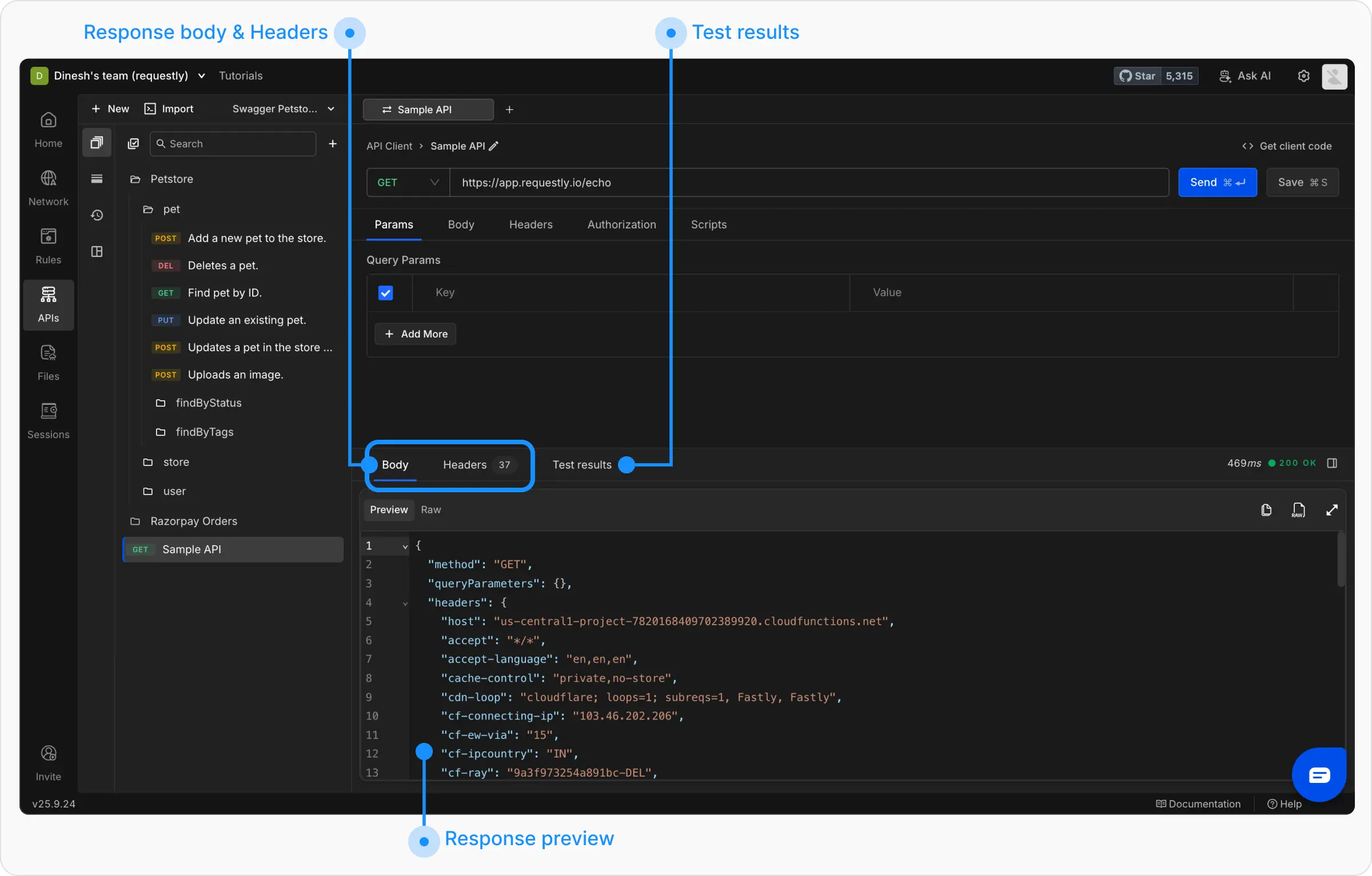 Response Body - Send API Request