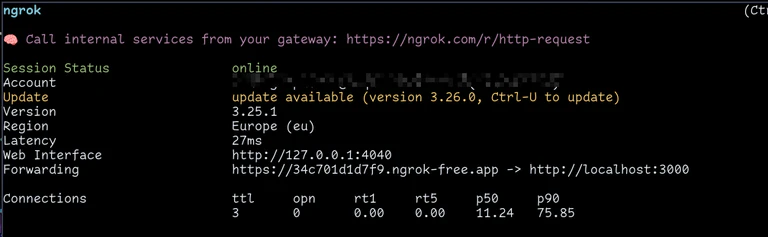 ngrok terminal