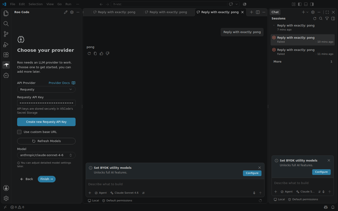 Roo Code provider settings with Requesty selected