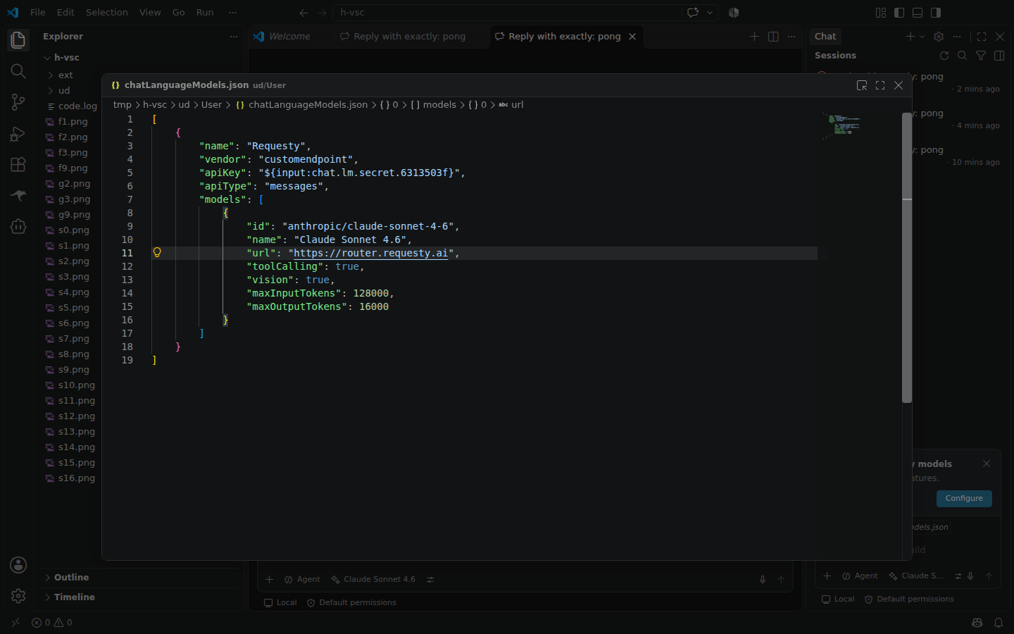 Requesty Custom Endpoint in chatLanguageModels.json