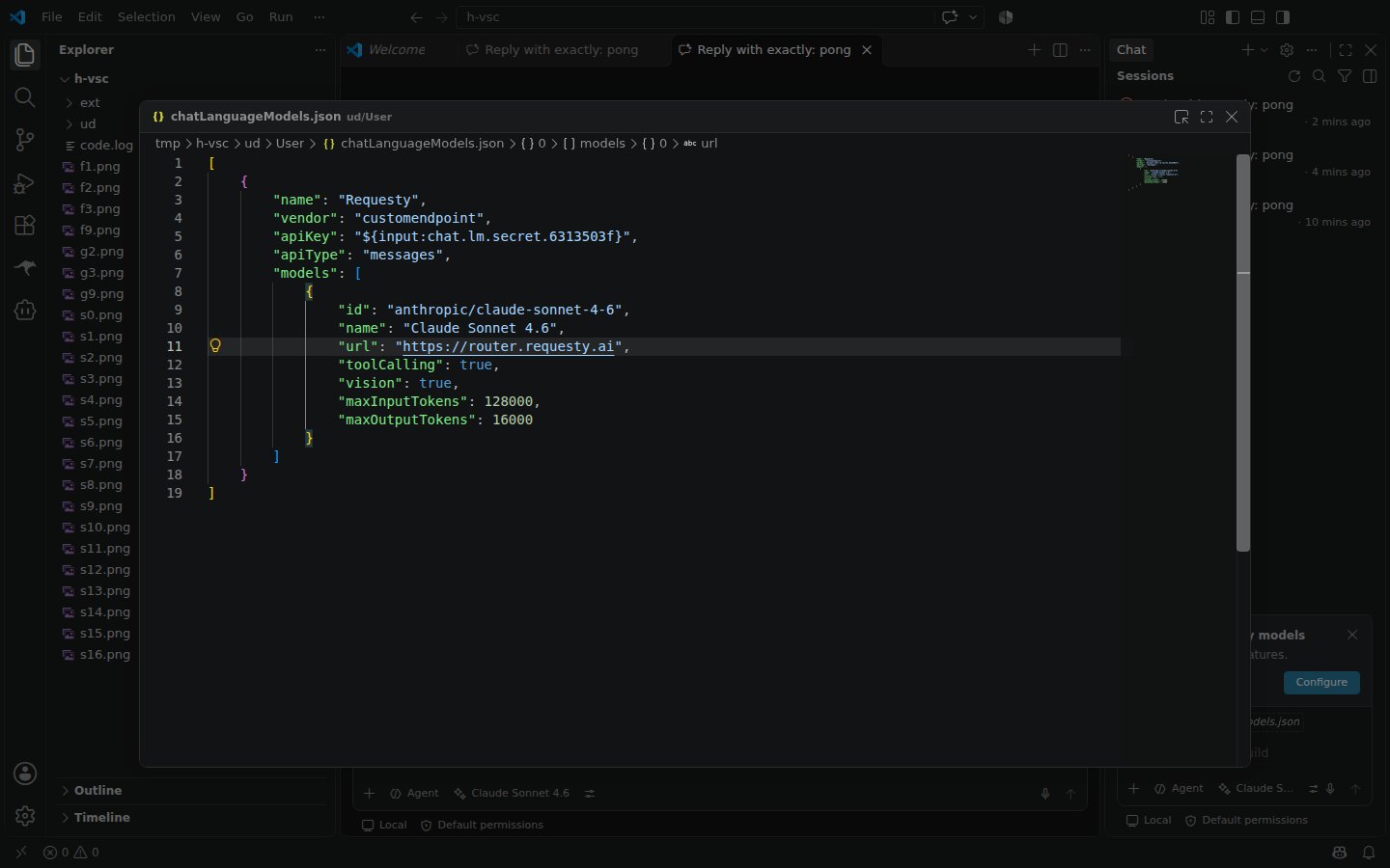 Requesty Custom Endpoint in chatLanguageModels.json