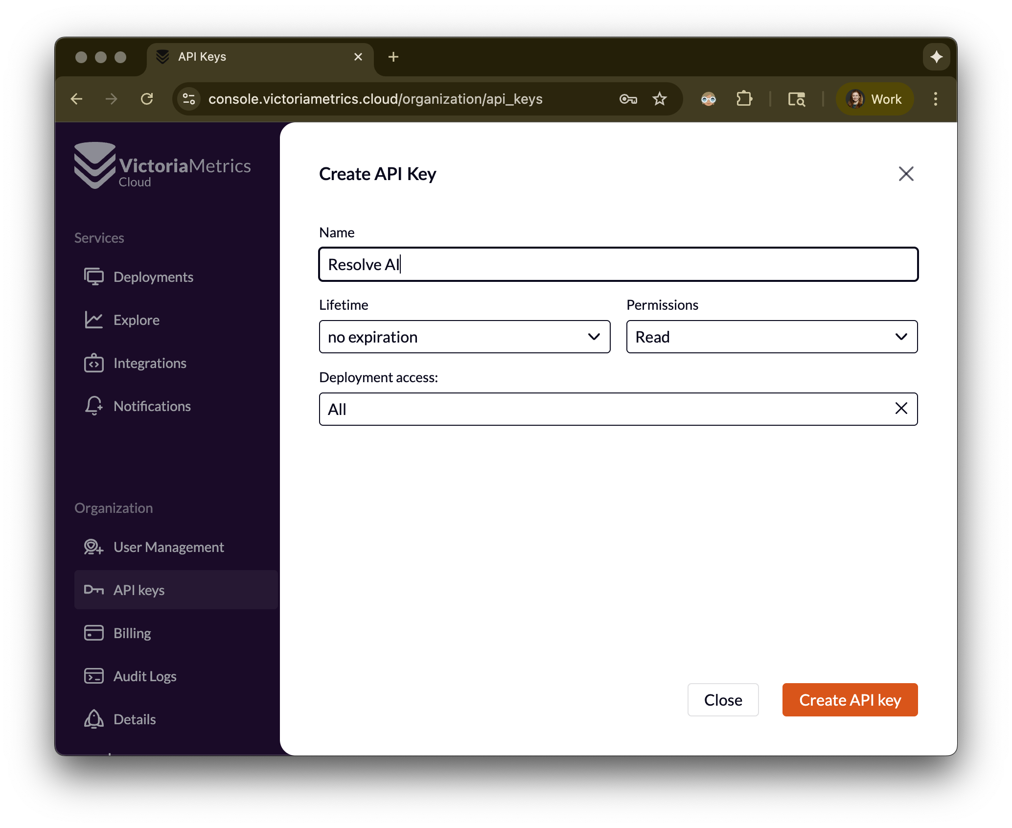 VictoriaLogs API Key