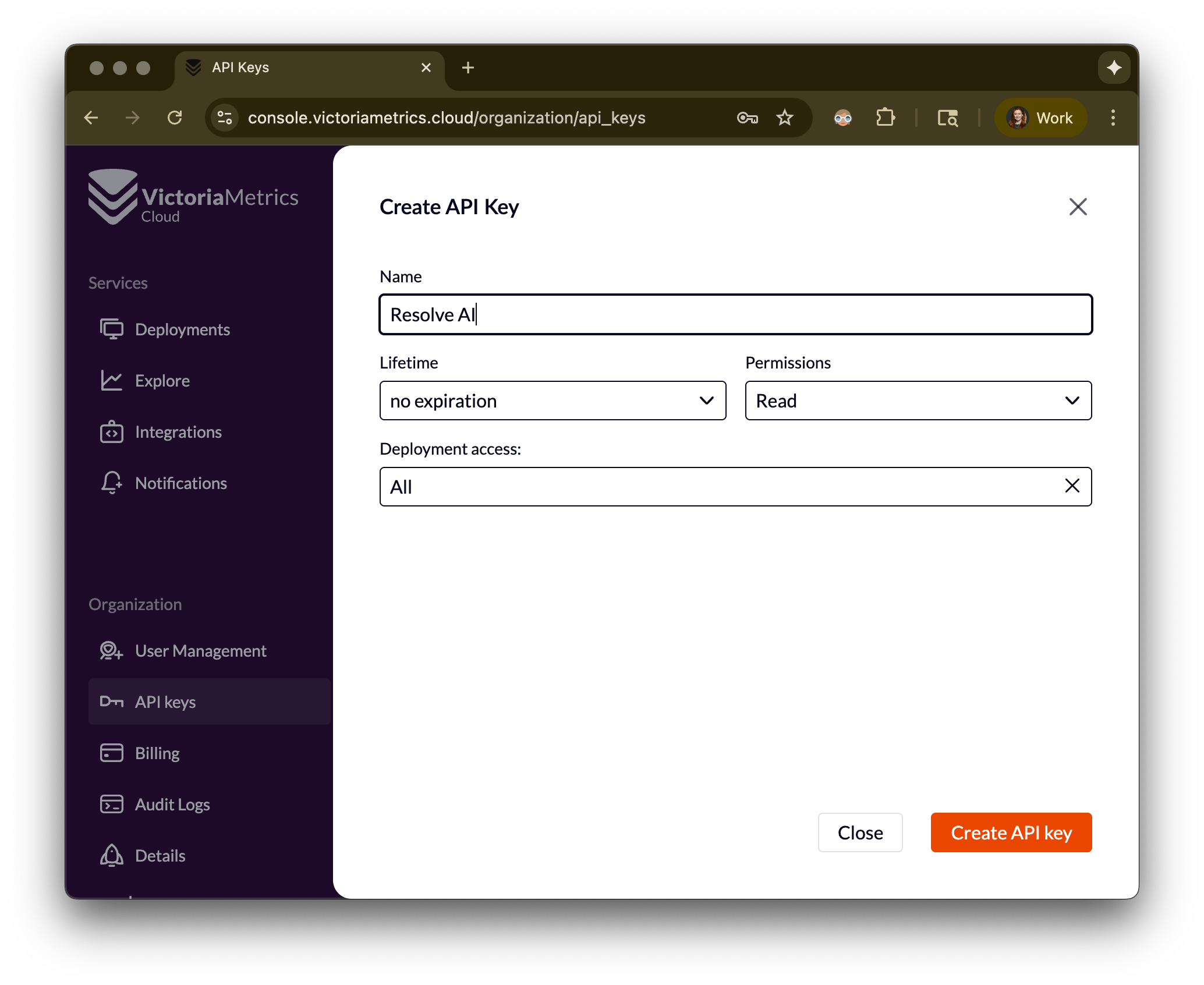 VictoriaLogs API Key
