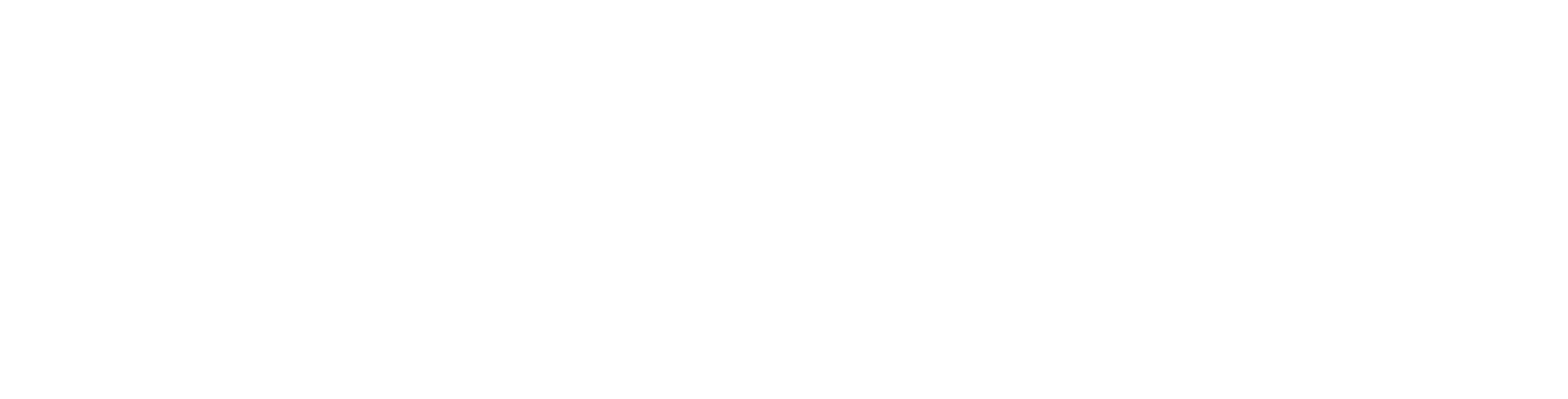 dark logo