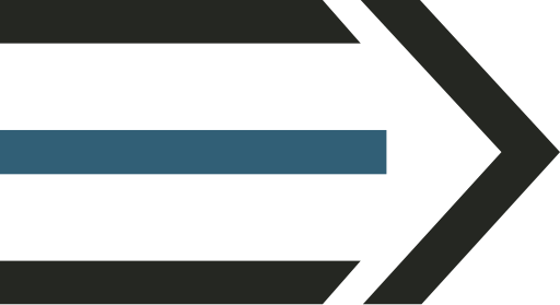 light logo