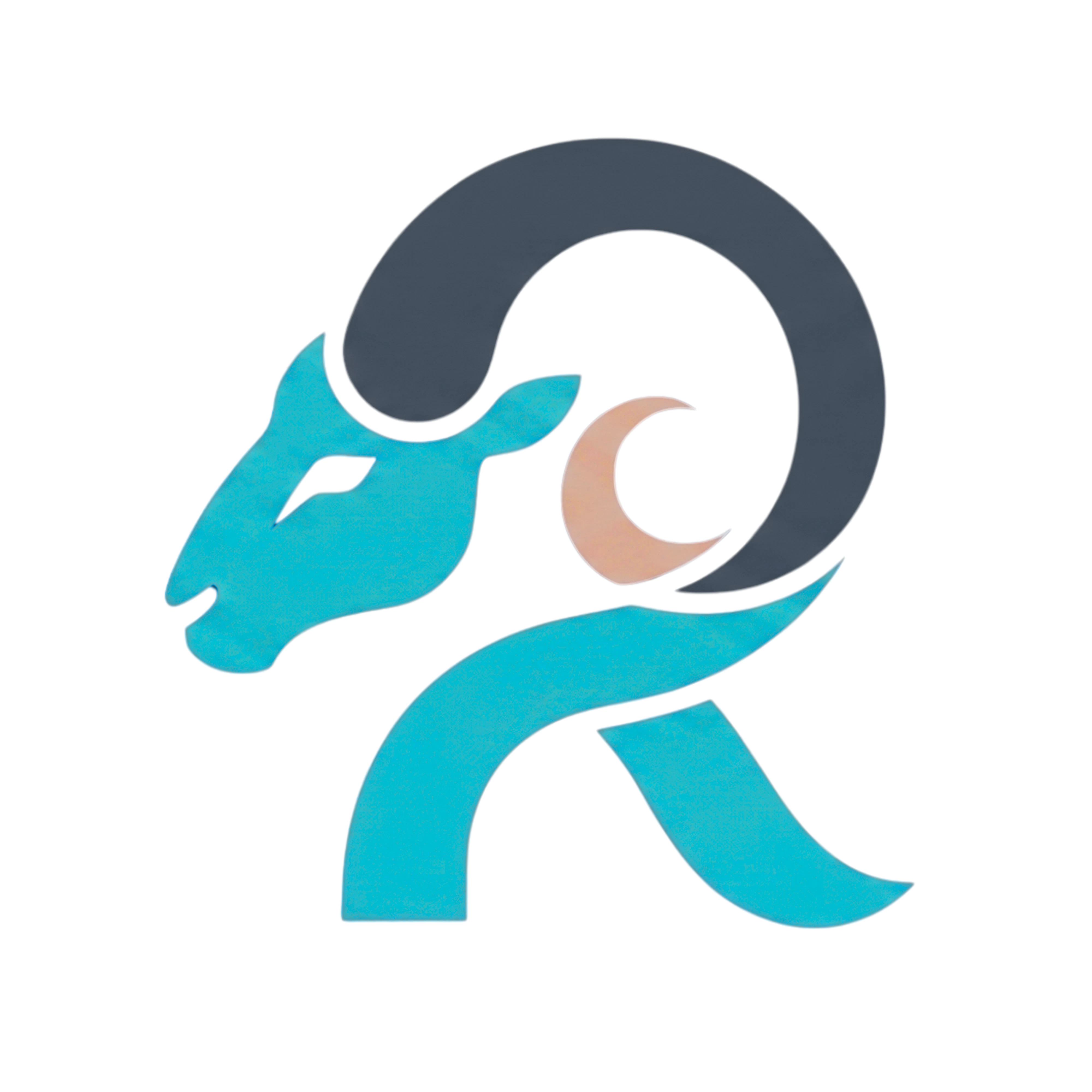 light logo
