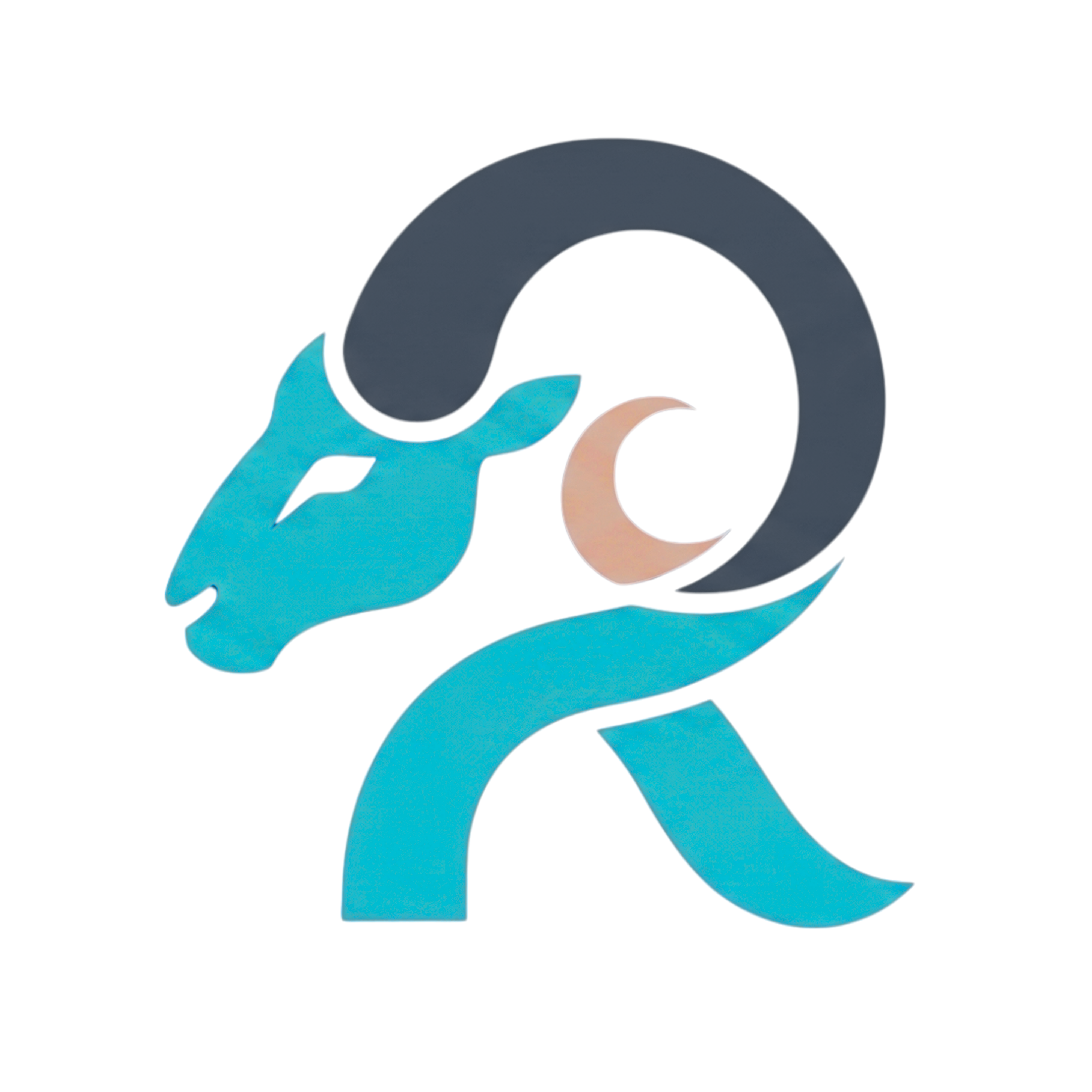 light logo