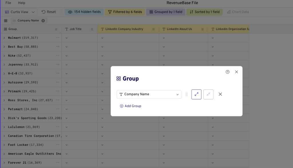 Group dialog with Company Name selected; data grouped by company with record counts