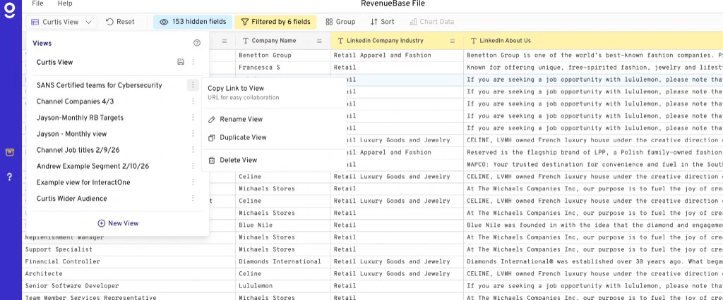 Views panel showing saved views and the three-dot menu with Copy Link, Rename, Duplicate, Delete