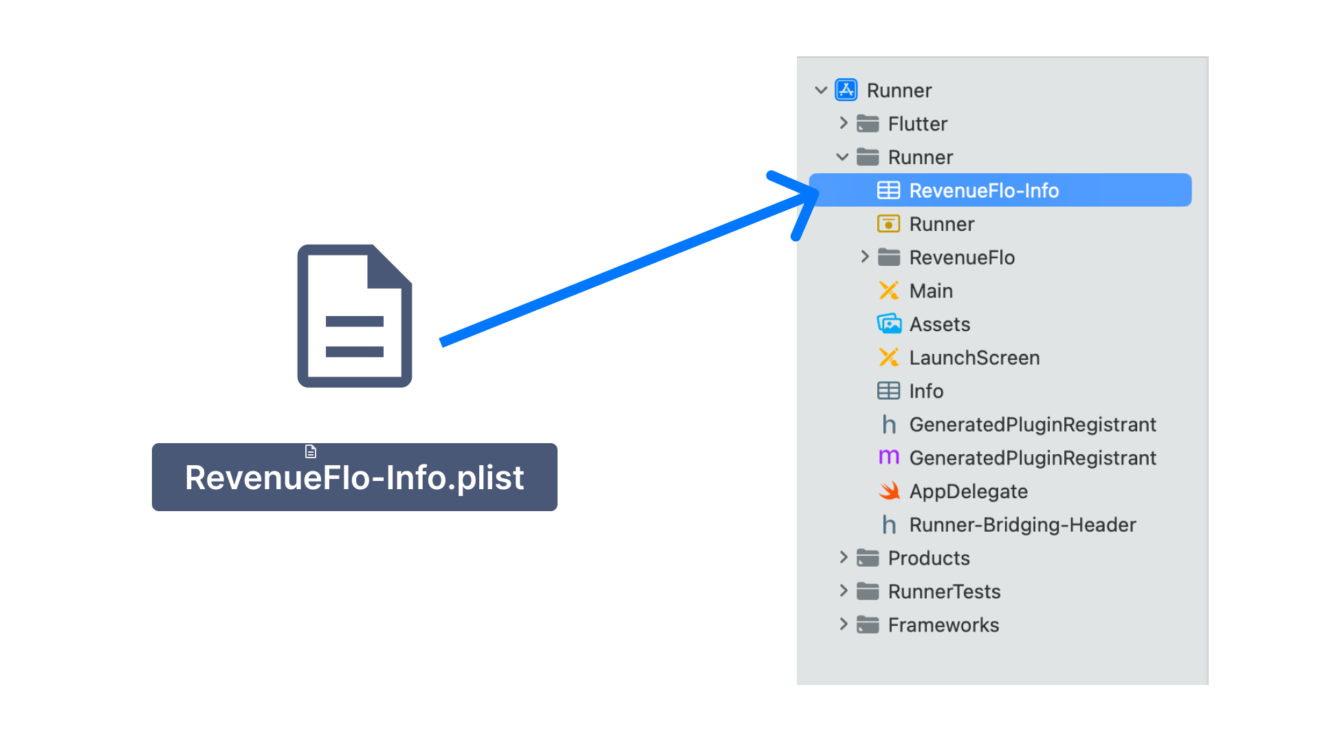 Copy the RevenueFlo-Info.plist to project