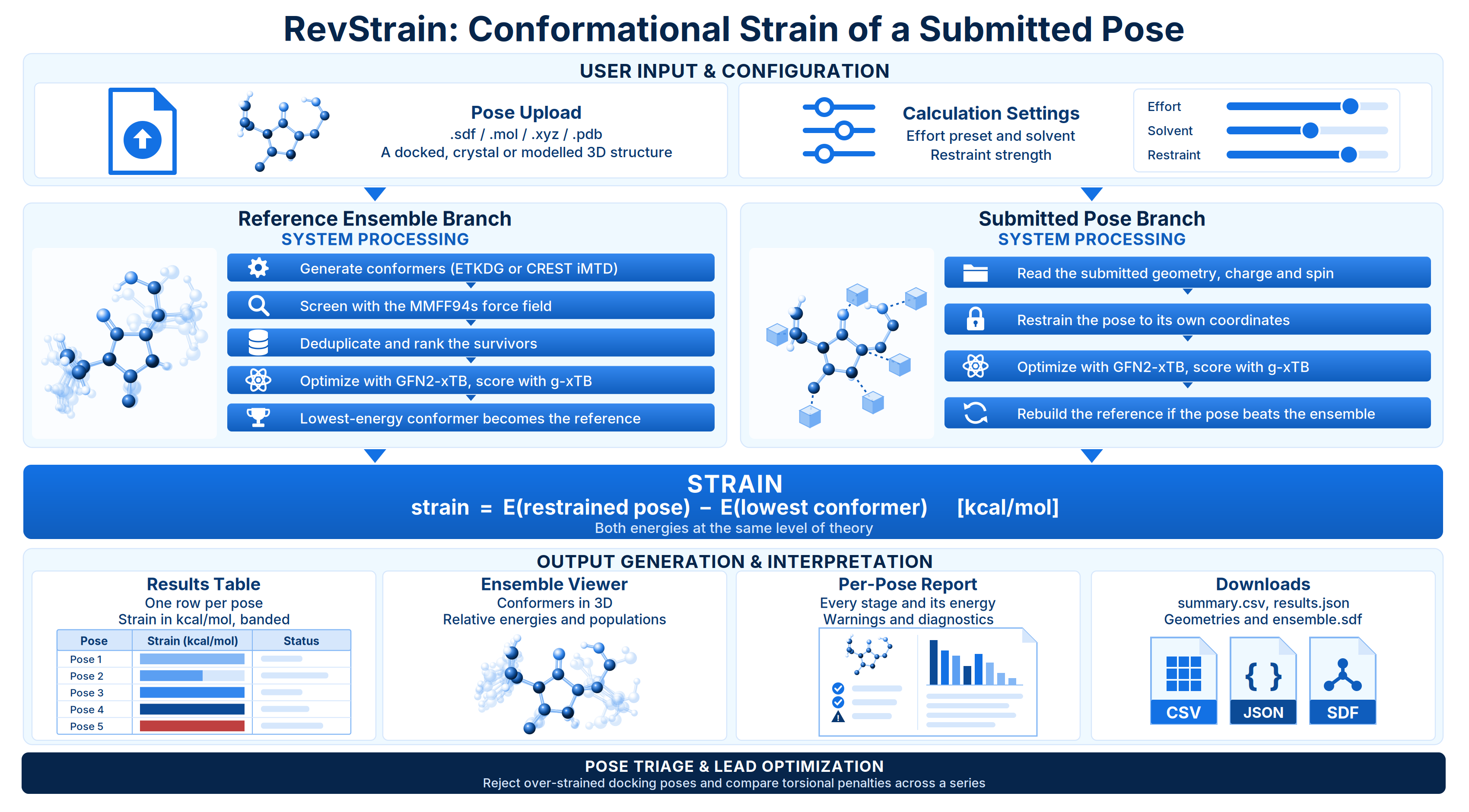 RevStrain Workflow