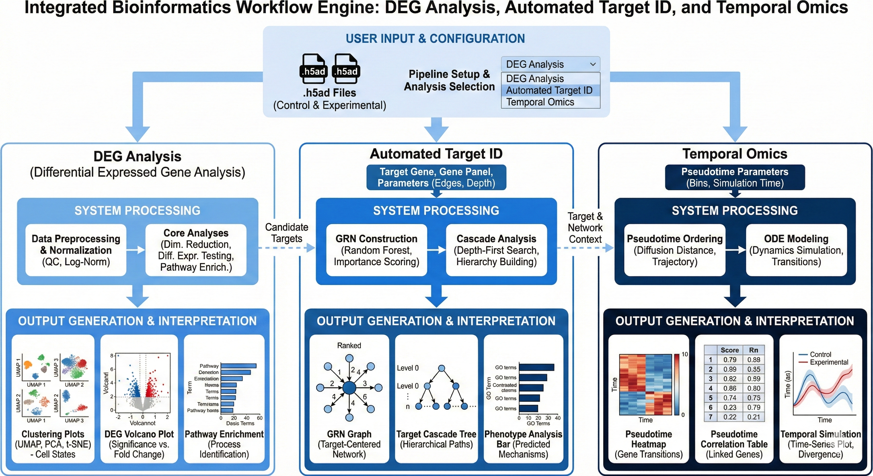 Sc RNA Seq Workflow