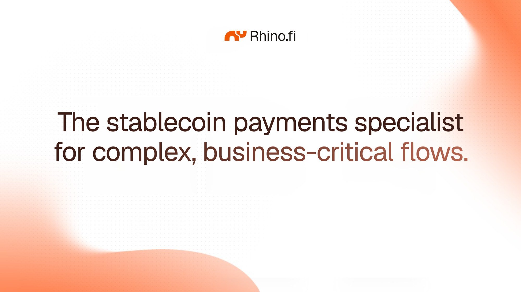 Rhino.fi: the stablecoin payments specialist for complex, business-critical flows