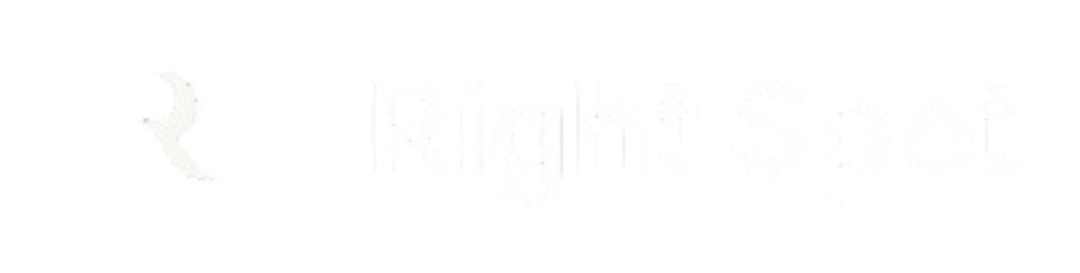light logo