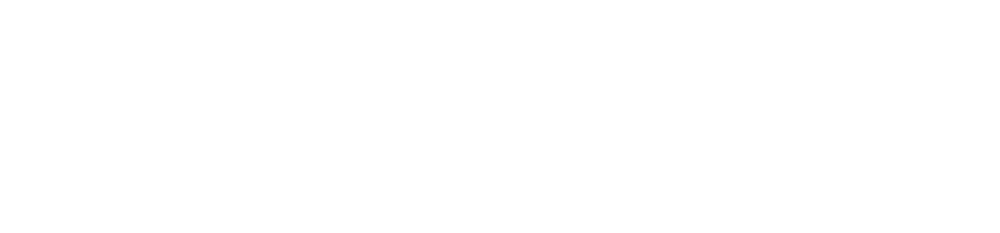 light logo
