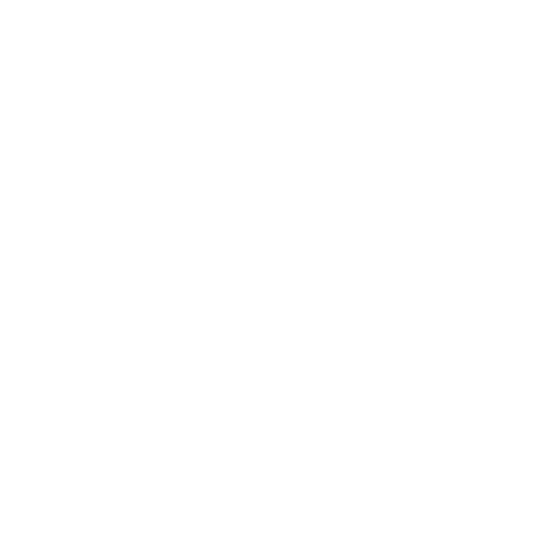 RISE Logo White