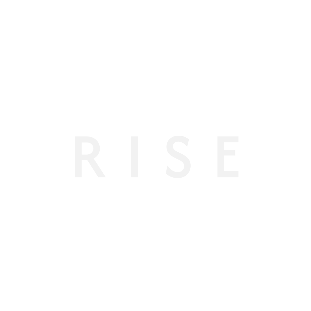 RISE Wordmark White