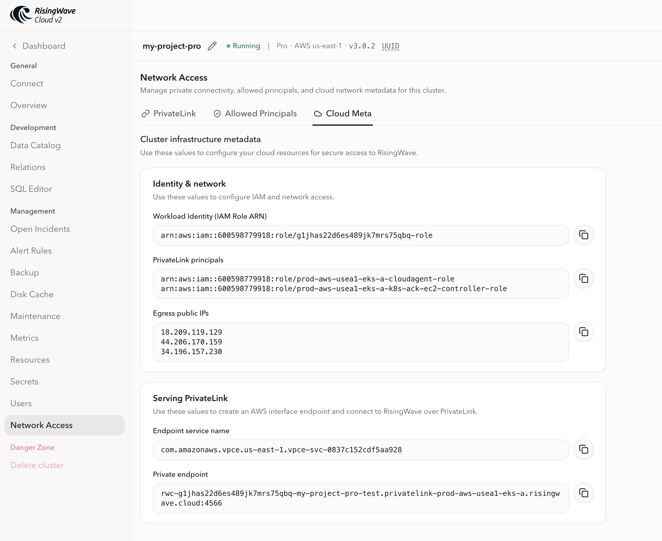 Cloud Meta tab in the Network Access page of the RisingWave Cloud Console