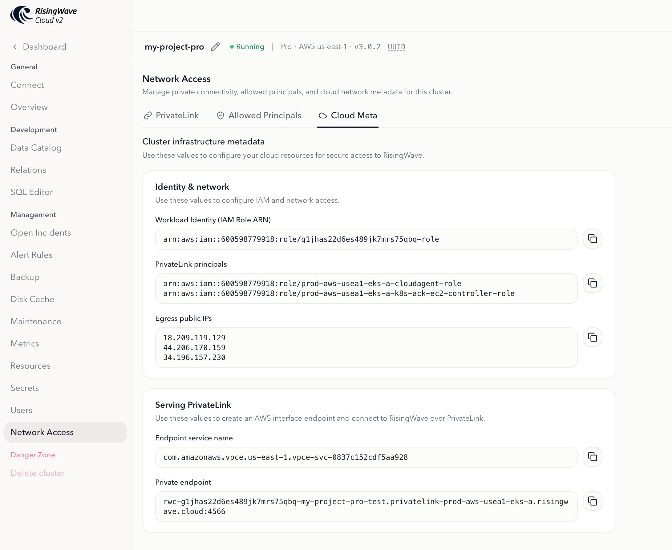 Cloud Meta tab in the Network Access page of the RisingWave Cloud Console