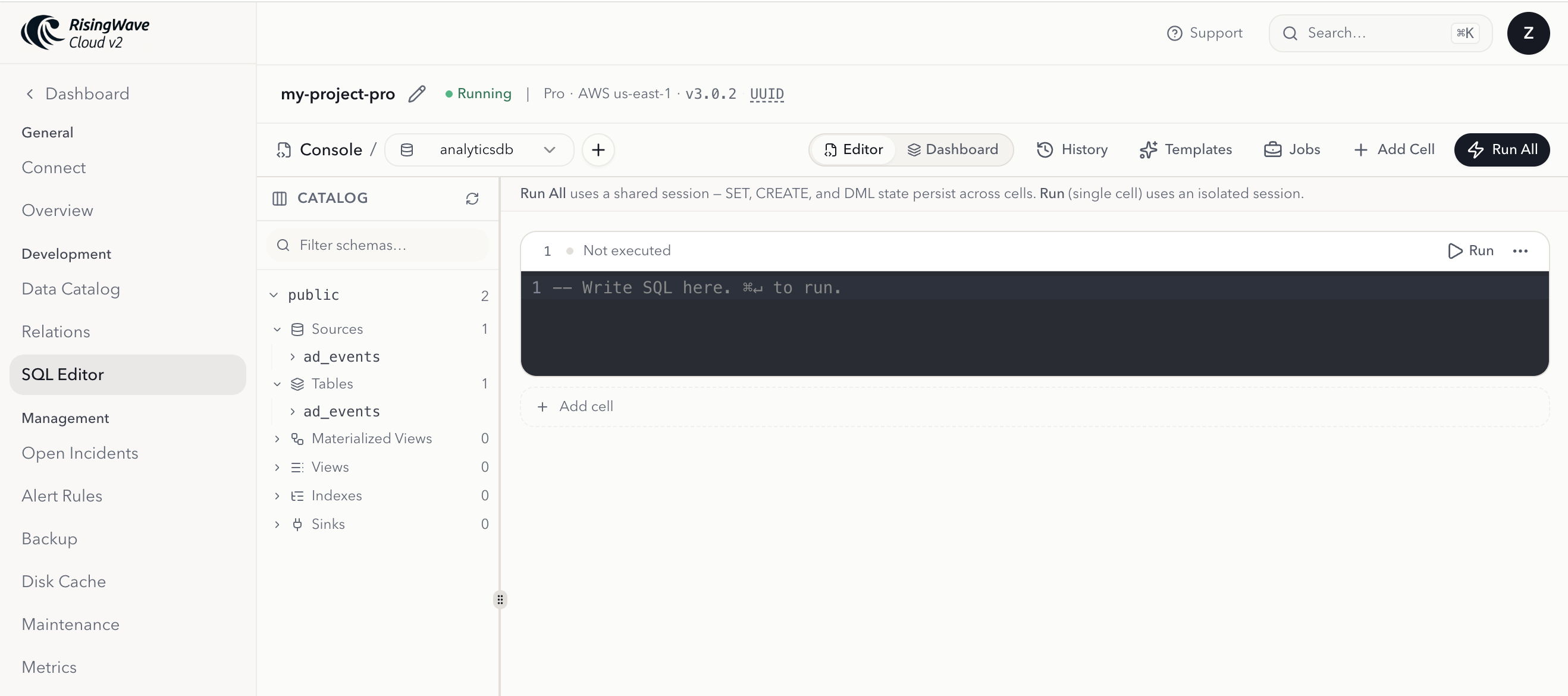 SQL Editor page in RisingWave Cloud with the catalog sidebar and an empty notebook cell