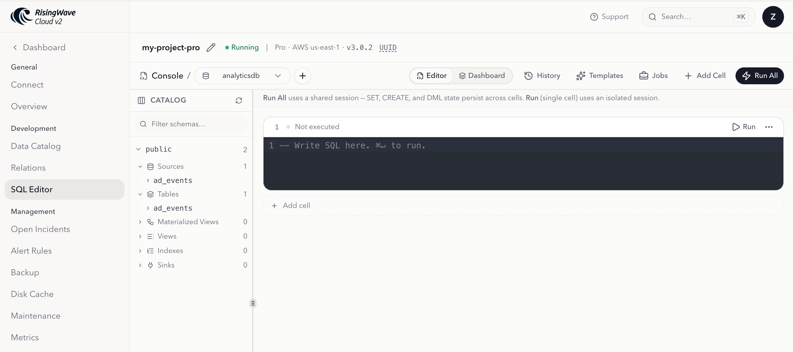 SQL Editor page in RisingWave Cloud with the catalog sidebar and an empty notebook cell