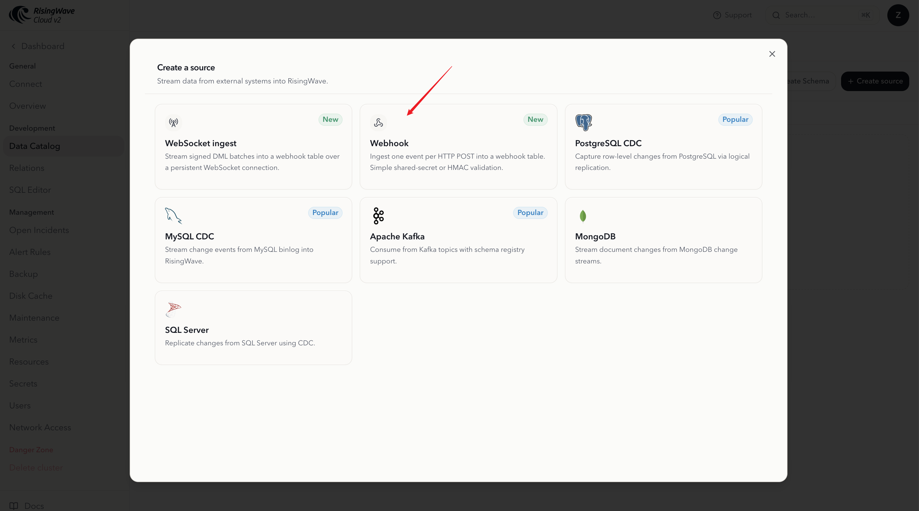 Webhook card in the Data Catalog create source dialog in RisingWave Cloud