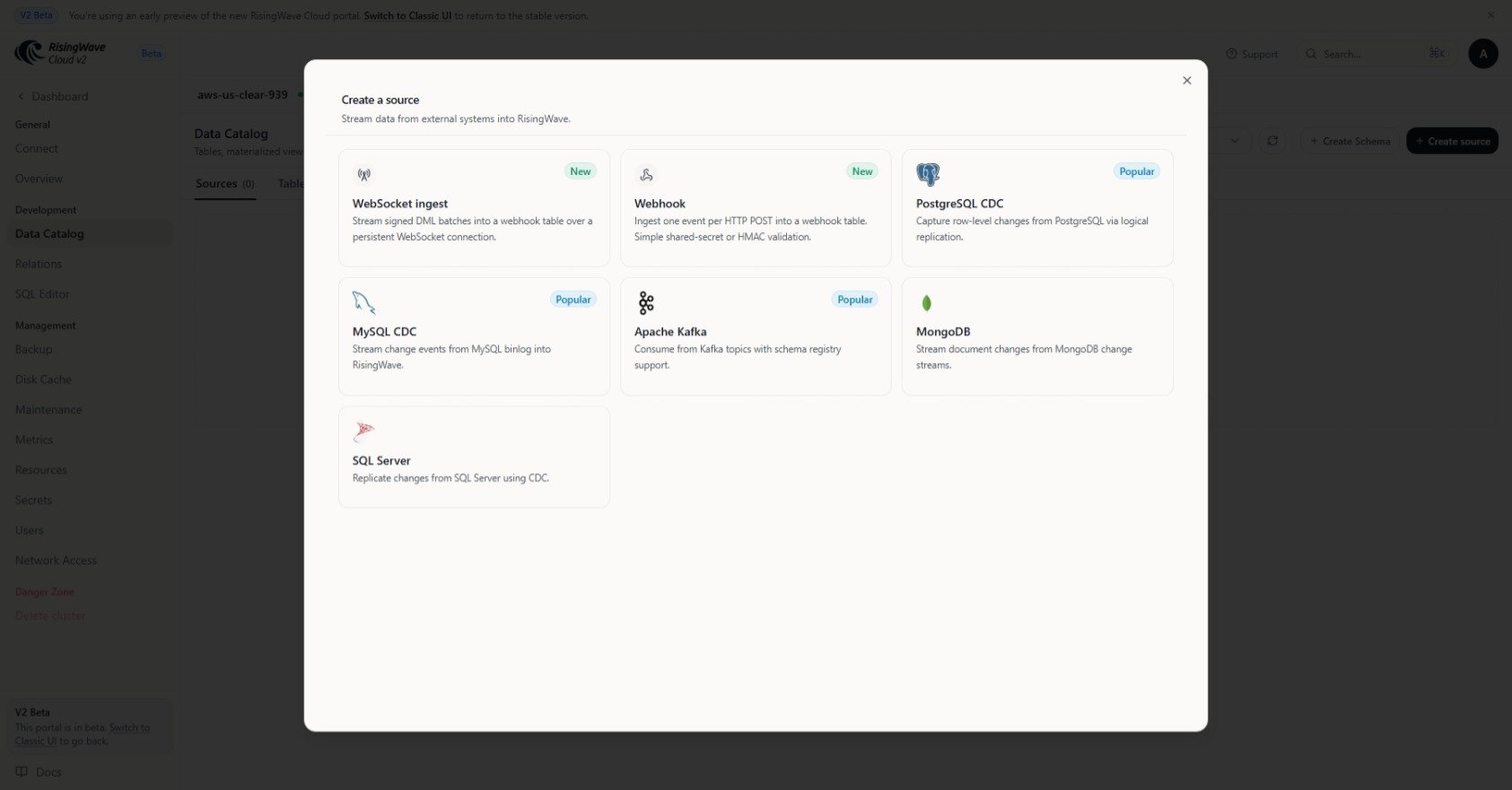 WebSocket ingest card in the Data Catalog create source dialog in RisingWave Cloud