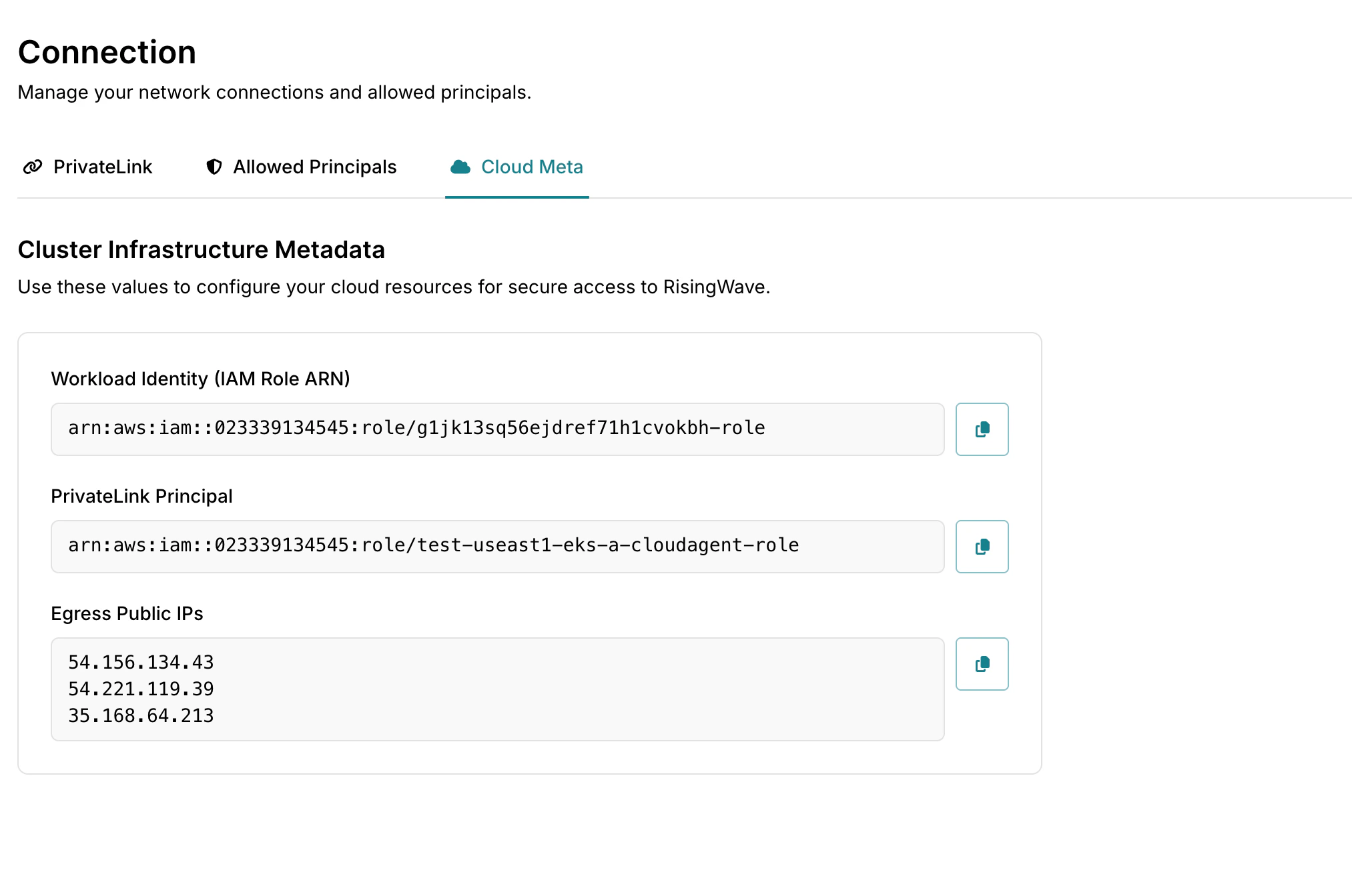 Cloud Meta tab in the Connection page of the RisingWave Cloud Console