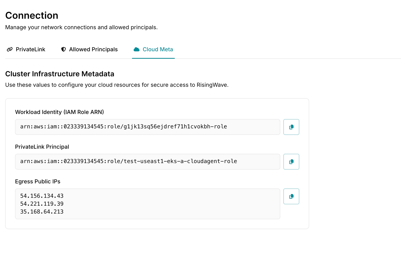 Metadata Connections Cloud metadata - RisingWave