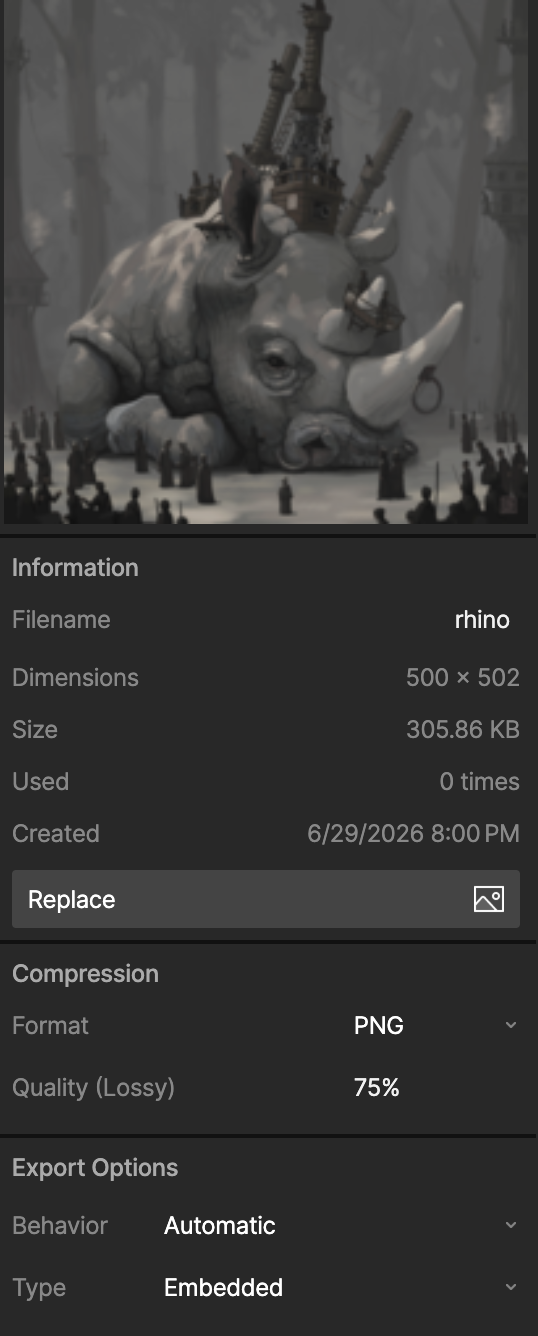 Inspector showing a selected image asset with the Information, Compression, and Export Options settings sections