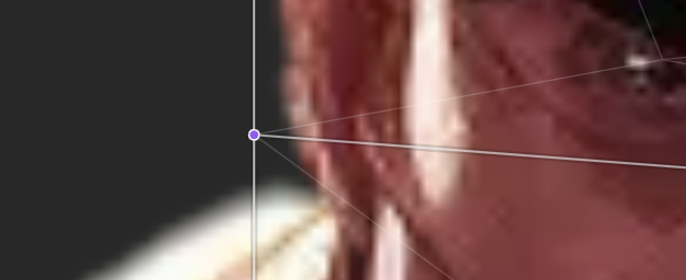 Forced edge in a mesh