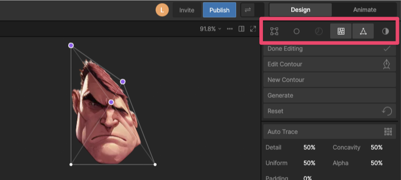 Mesh view options