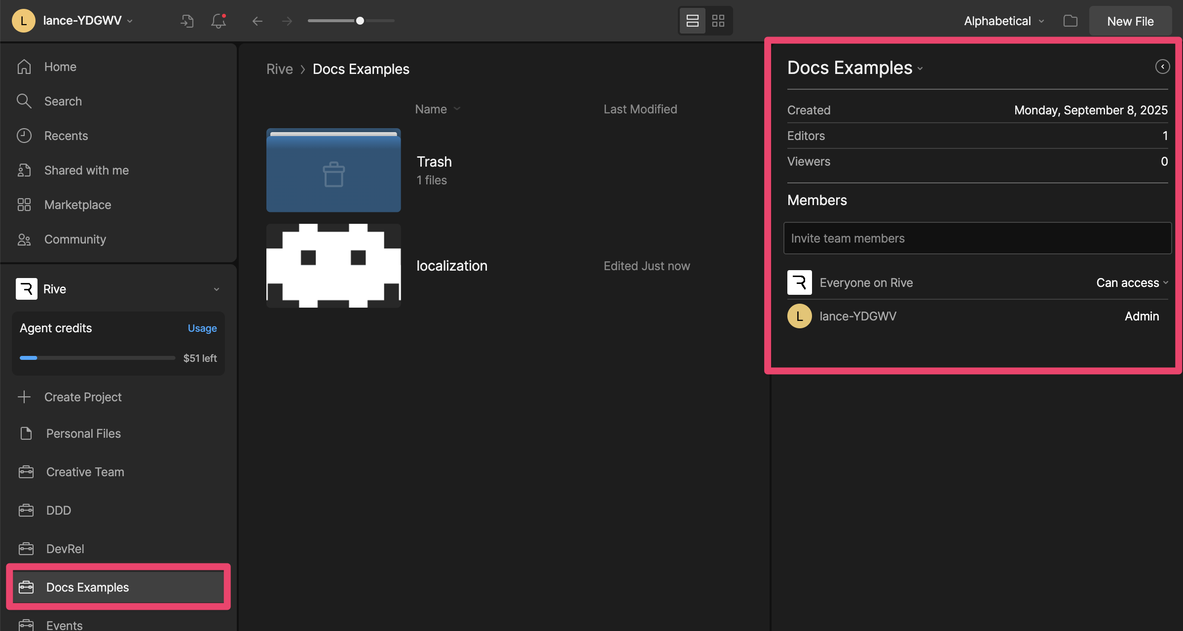 Manage project members