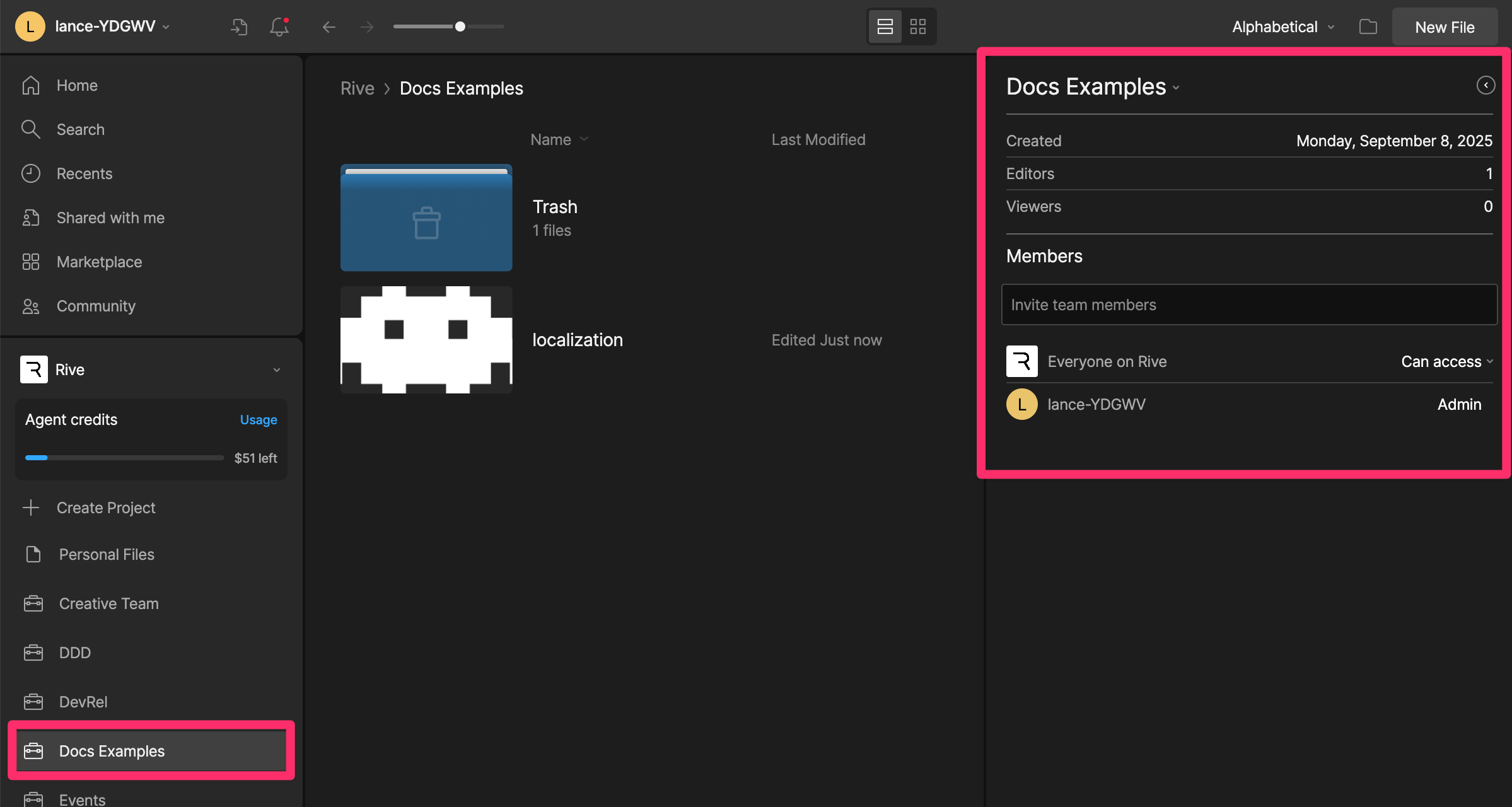 Manage project members