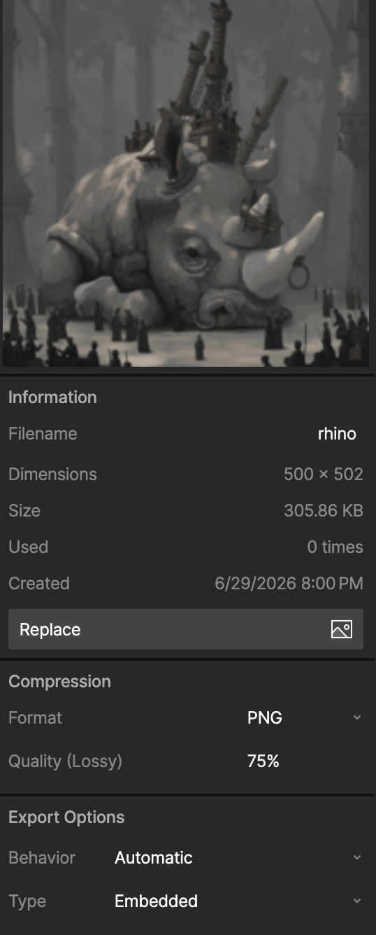 Inspector showing a selected image asset with the Information, Compression, and Export Options settings sections