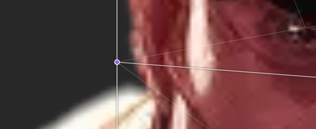 Forced edge in a mesh