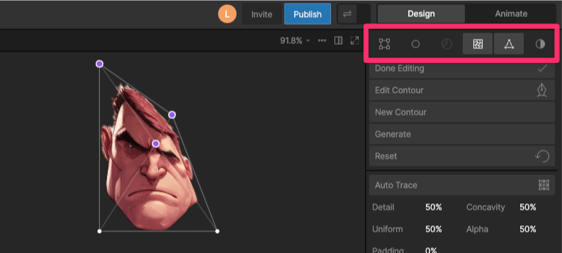 Mesh view options