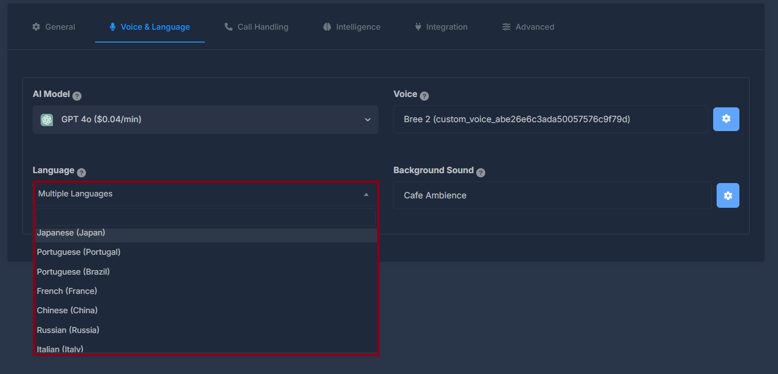 Language Selection Interface