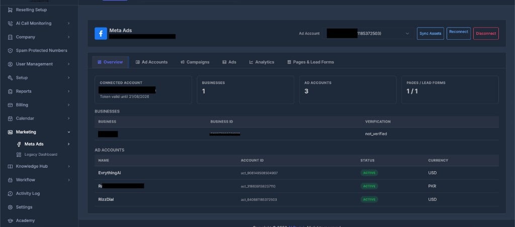 Meta Ads Overview tab