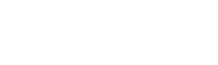 light logo