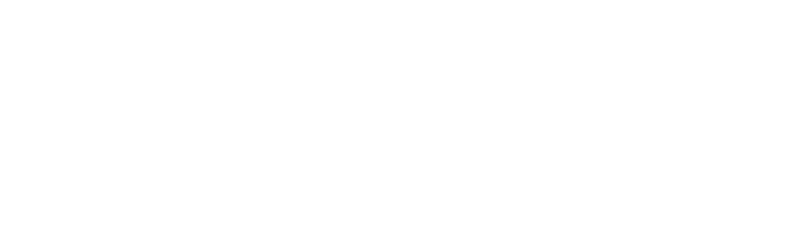 dark logo