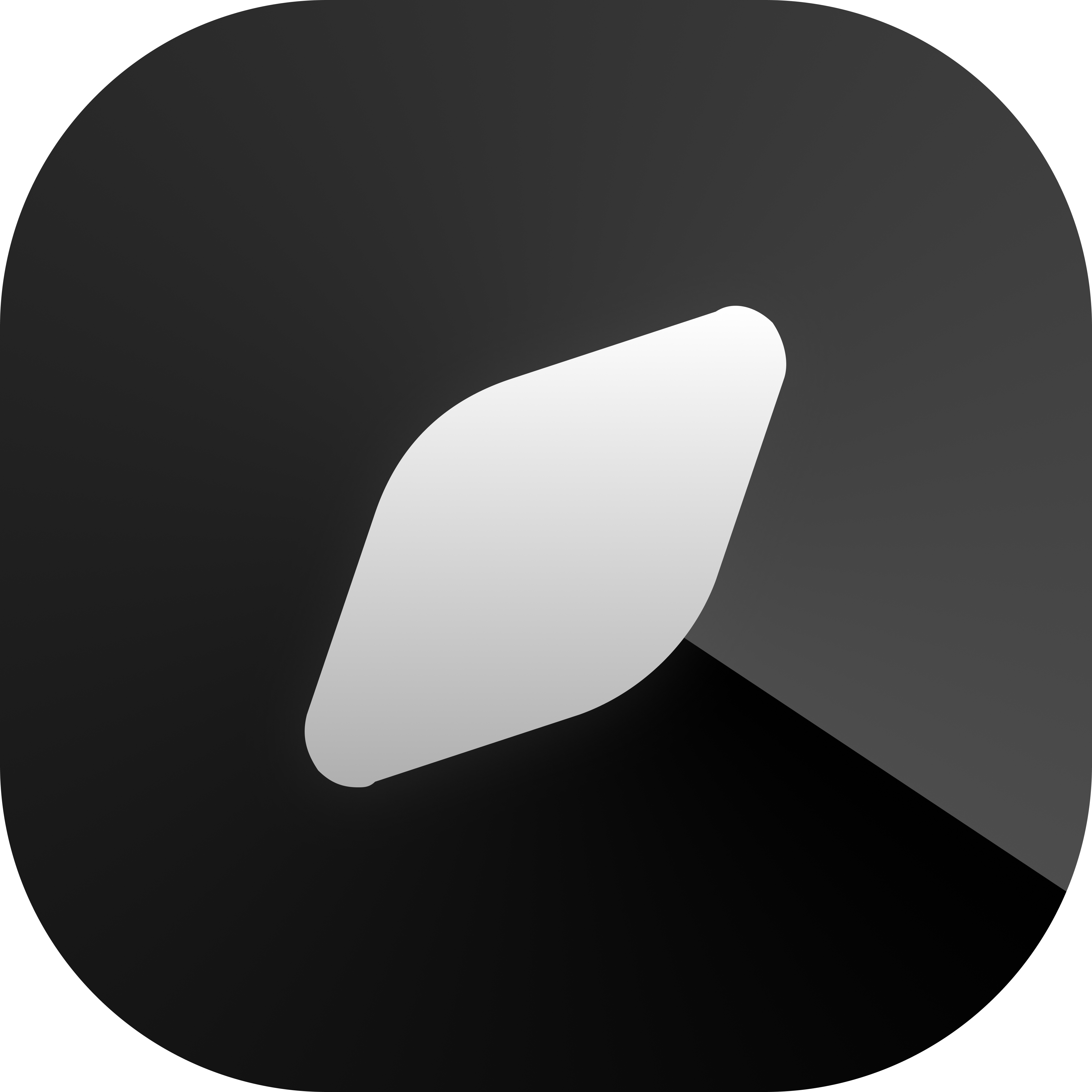 light logo