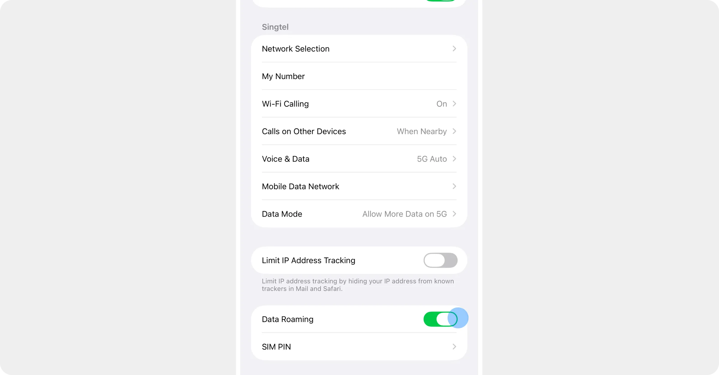 The Primary SIM's settings with the Data Roaming switch highlighted