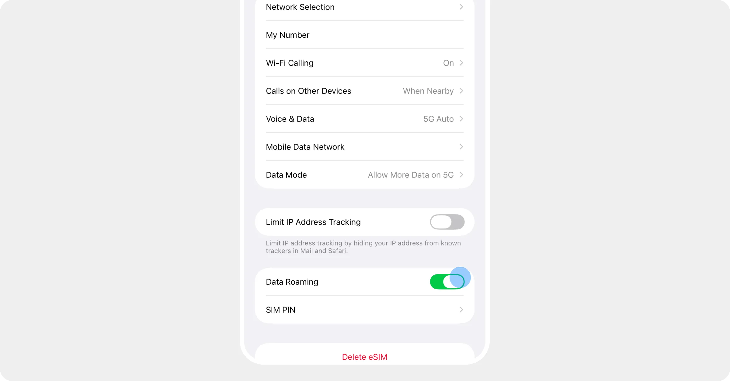 The Roamly line's settings with Data Roaming switched on