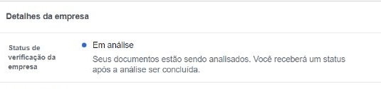 Conta do Business Facebook em análise