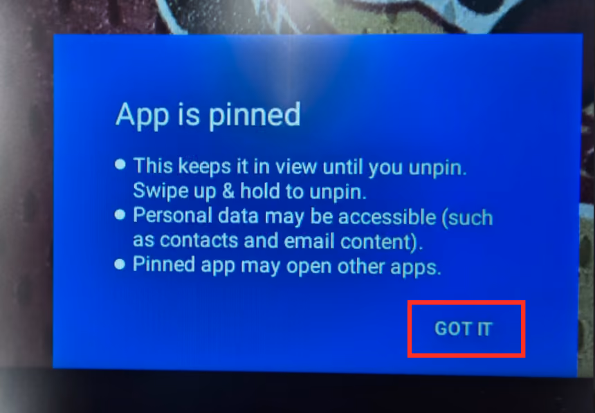 App is pinned confirmation with the GOT IT button outlined in red